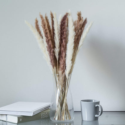Brown & White 30 Pcs Natural Dried Pampas Grass (17 Inch Stems) 